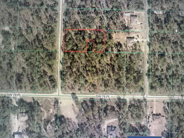 SW 138TH TER, Dunnellon, FL 34431