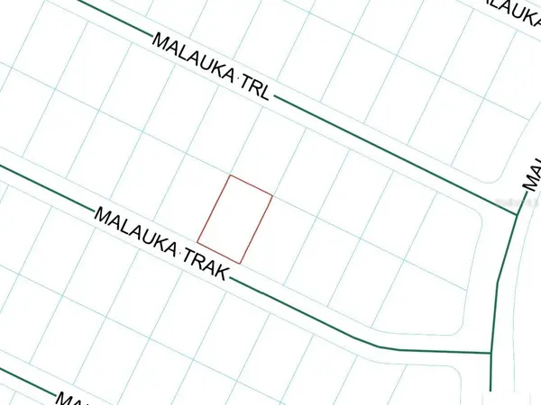 MALAUKA TRAK, Ocklawaha, FL 32179