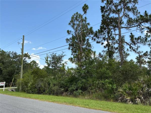 LOT 22 PEABODY ST, Orlando, FL 32833