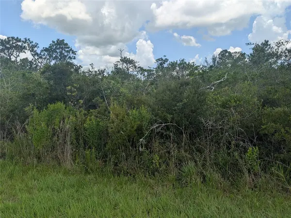 314 CAMELLIA DR, Indian Lake Estates, FL 33855
