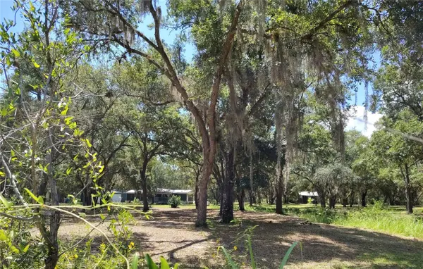12627 BLACKBERRY LN, Lake Wales, FL 33898