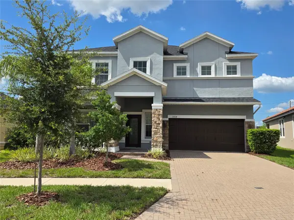 11928 FROST ASTER DR, Riverview, FL 33579