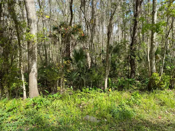 709 GEORGETOWN DENVER RD, Crescent City, FL 32112