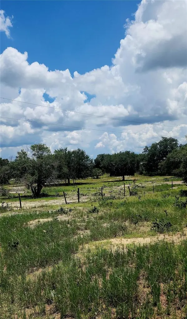 562 LIBBY RD, Babson Park, FL 33827