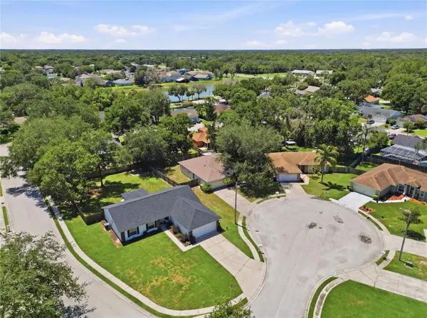 2614 SUNDANCE CT, Mulberry, FL 33860