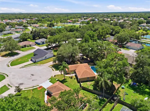 2614 SUNDANCE CT, Mulberry, FL 33860