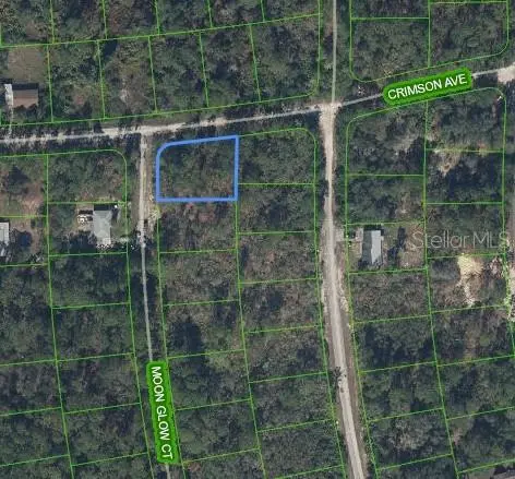 233 MOON GLOW CT, Lake Placid, FL 33852