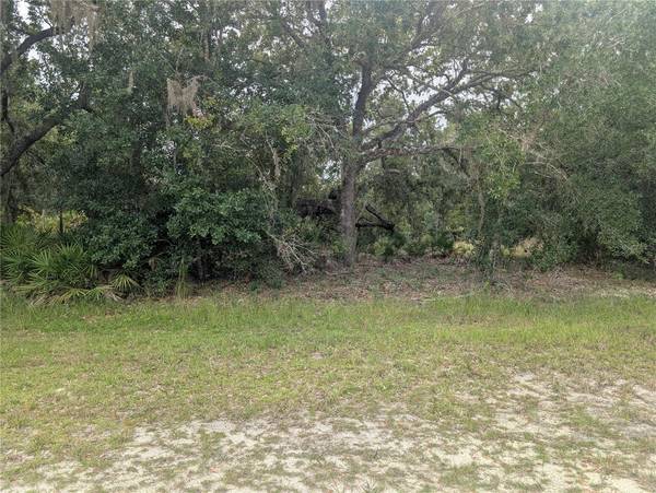 GAILLARDIA DR, Indian Lake Estates, FL 33855