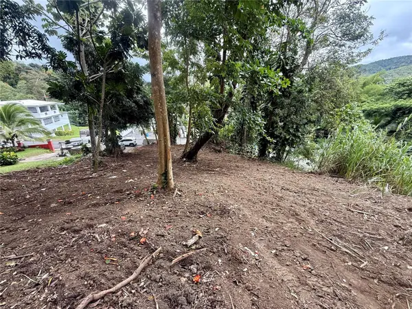 BO. CAGÜITAS, Aguas Buenas, PR 00703