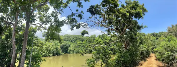 981, Ceiba, PR 00735