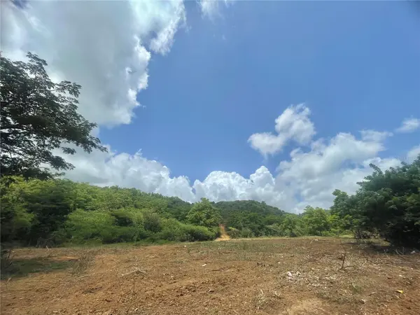 981, Ceiba, PR 00735