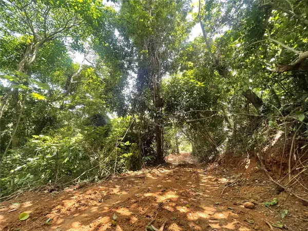 981, Ceiba, PR 00735