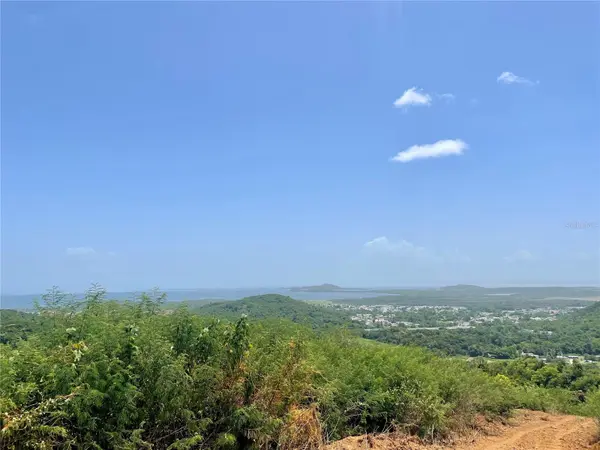 981, Ceiba, PR 00735
