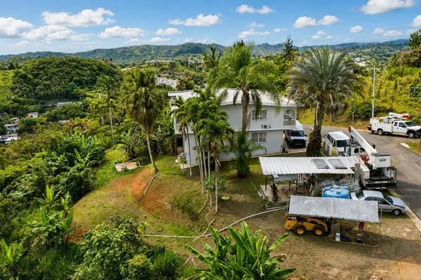 Carr 156 KM 1.0 BO SABANA SECTOR PUEBLITO, Orocovis, PR 00720