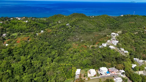 Hidden Tranquil Lot 413 SECTOR COLLAZO, Rincon, PR 00677
