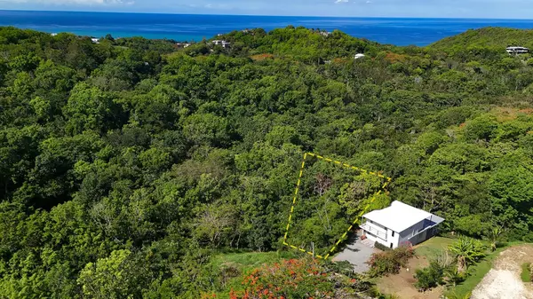 Hidden Tranquil Lot 413 SECTOR COLLAZO, Rincon, PR 00677