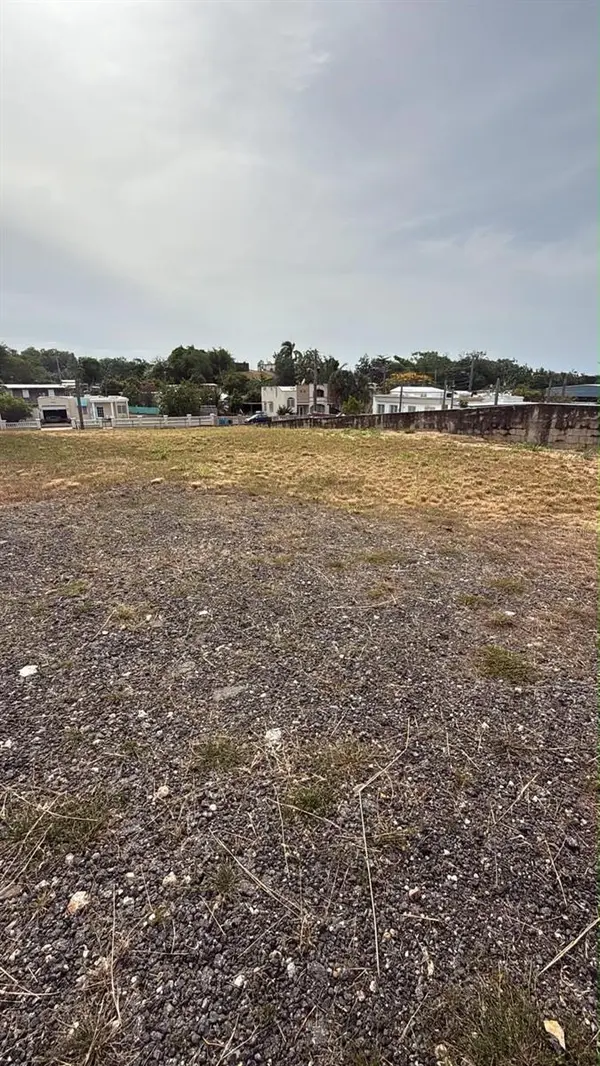 CARR 637 BO MIRAFLORES SECTOR BIAFARA, Arecibo, PR 00612