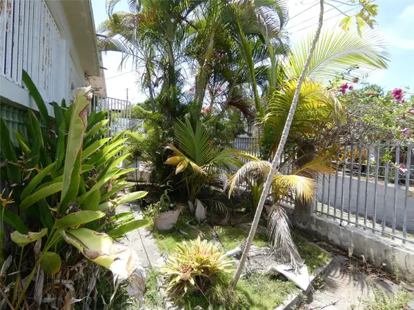 491 CALLE GLADIOLA, Vieques, PR 00765