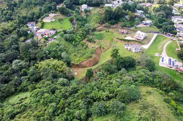 PR 568 KM 28.5 SECTOR EL LIMON PADILLA, Corozal, PR 00783