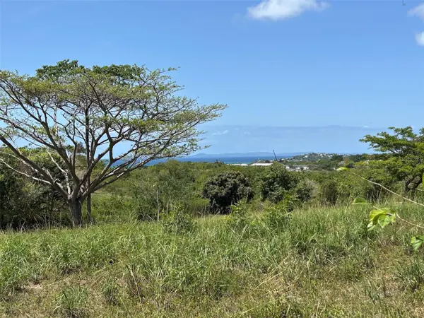 MARTINEAU INTERIOR, Vieques, PR 00765