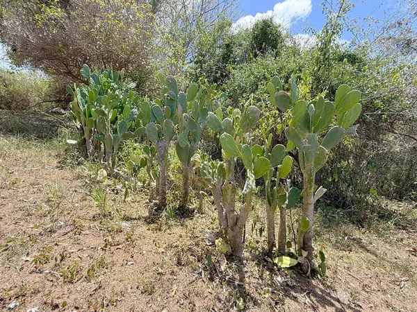 89 CALLE CASA HIX, Vieques, PR 00765