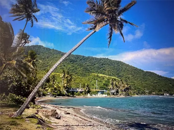 20 HWY 7758, Patillas, PR 00723