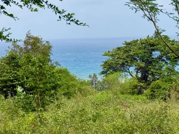 20 HWY 7758, Patillas, PR 00723