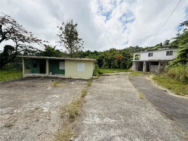 183, RAMAL 916 BARRIO CERRO GORDO, QBDA. ARENAS #, San Lorenzo, PR 00754