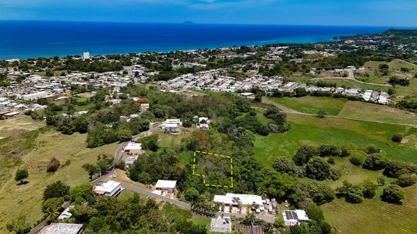 CARR 115 KM HM 11.3, Rincon, PR 00677