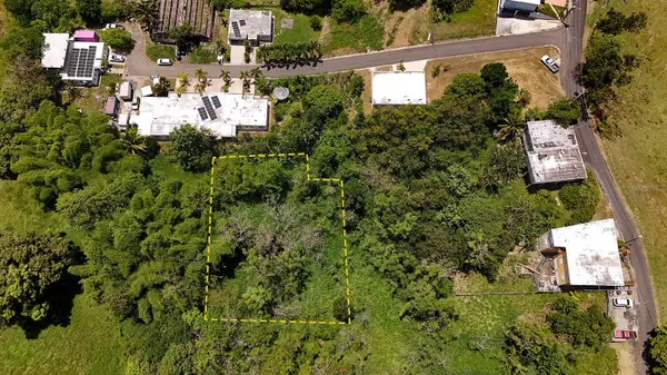 CARR 115 KM HM 11.3, Rincon, PR 00677