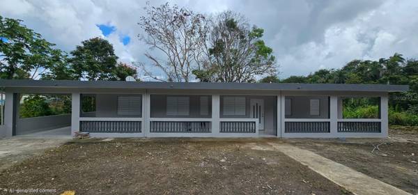 156 BO. BAYAMONCITO, Aguas Buenas, PR 00703