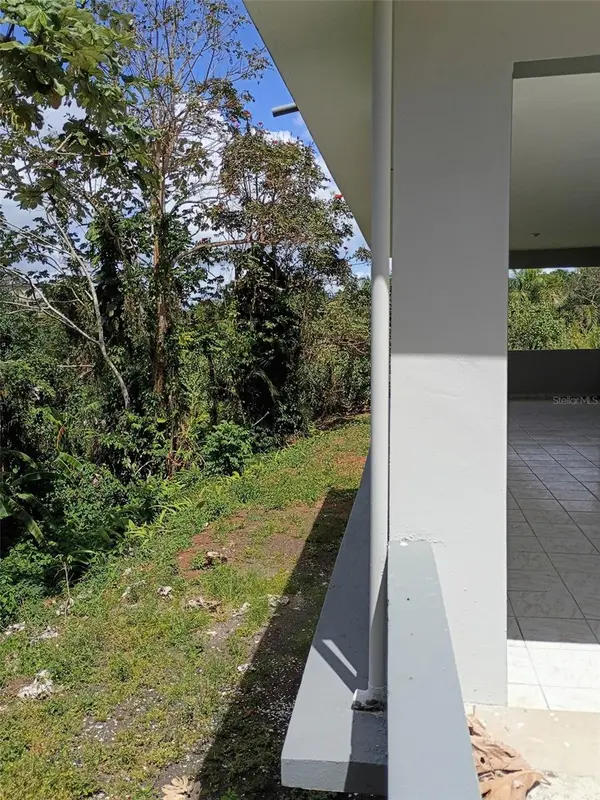 156 BO. BAYAMONCITO, Aguas Buenas, PR 00703