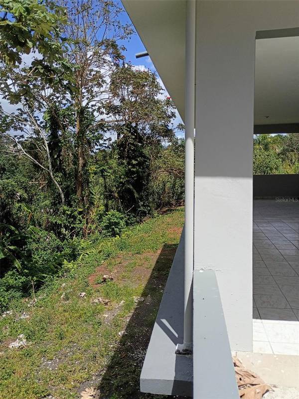 156 BO. BAYAMONCITO, Aguas Buenas, PR 00703