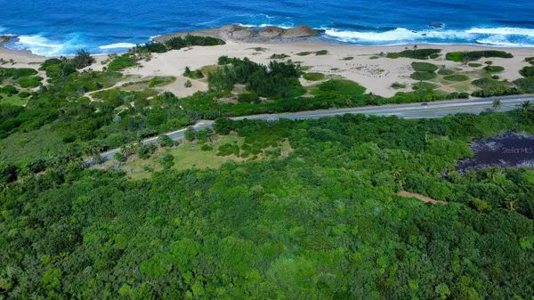 SR.466 KM 11.7 BAJURA WD, Isabela, PR 00662
