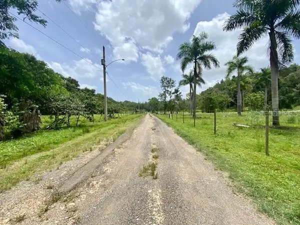 PR 155 RAMAL 646, Vega Baja, PR 00693