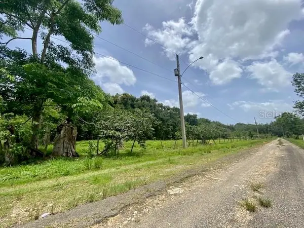 PR 155 RAMAL 646, Vega Baja, PR 00693
