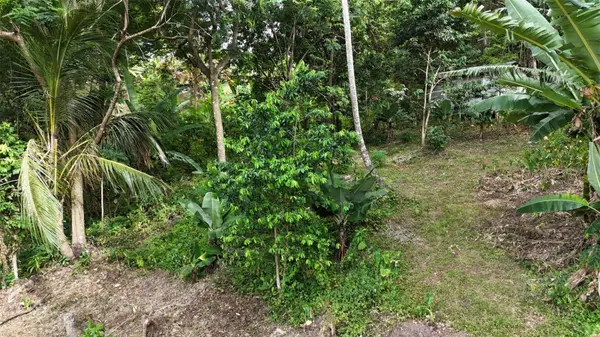 CAIN ALTO. BO. HOCONUCO ALTO, San German, PR 00683