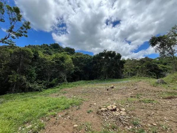 LOT 5 KM 2.5 CARRETERA 856, Carolina, PR 00987