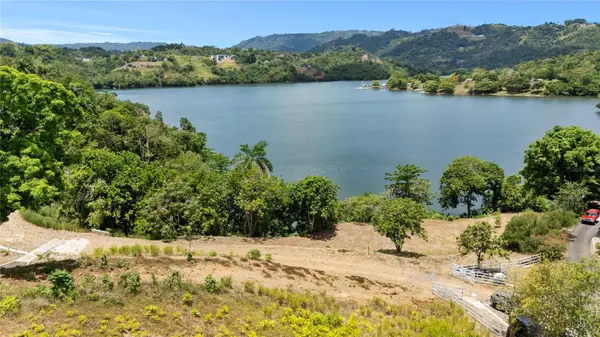 CARR 827 KM 5.0, INTERIOR, BO. ORTIZ, LOT 1 & 2, Toa Alta, PR 00953
