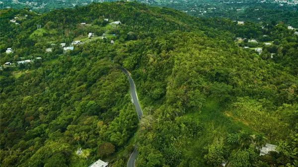PR181 km 53.3 SECTOR LA SILLA CARR 941, Gurabo, PR 00778