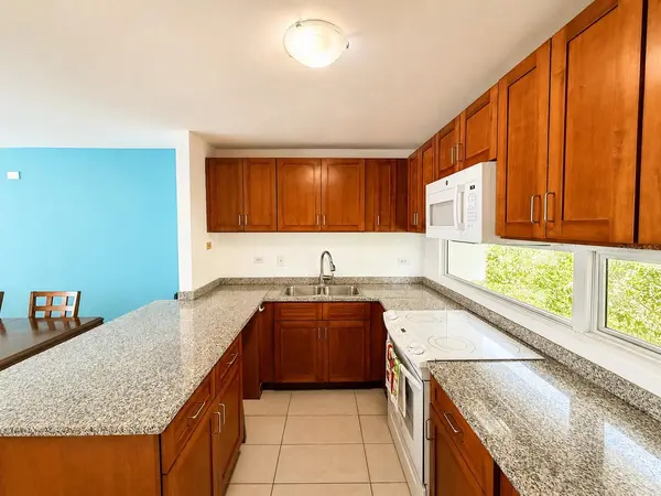 1554 CALLE LÓPEZ LANDRÓN #apt #301, San Juan, PR 00915