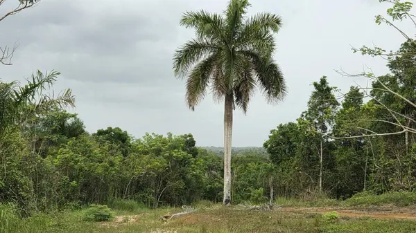 PR 669 KM 0.3 INT PR 828, Vega Alta, PR 00692