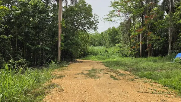 PR 669 KM 0.3 INT PR 828, Vega Alta, PR 00692