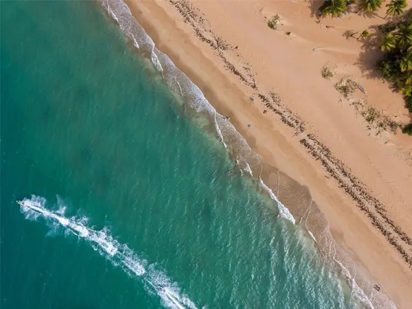 OCEAN FOREST #Lot 2, Rio Grande, PR 00745