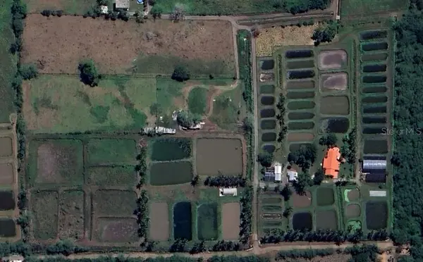 SR 117 km 9.9 interior LA PLATA ST, Lajas, PR 00667