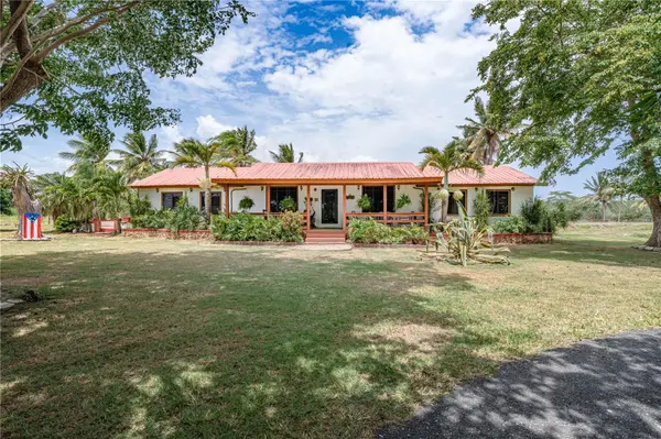 SR 117 km 9.9 interior LA PLATA ST, Lajas, PR 00667