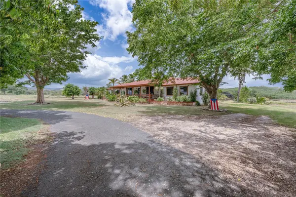 SR 117 km 9.9 interior LA PLATA ST, Lajas, PR 00667