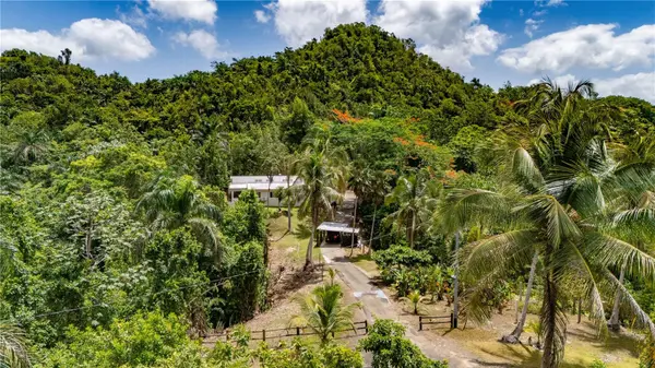 Comm Cienguetas #33 BO ESPERANZA, Arecibo, PR 00612