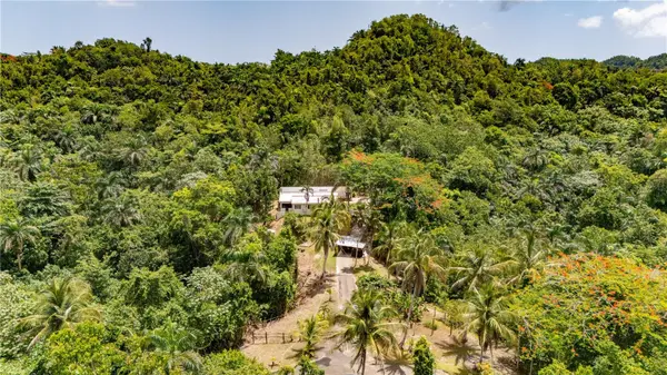Comm Cienguetas #33 BO ESPERANZA, Arecibo, PR 00612