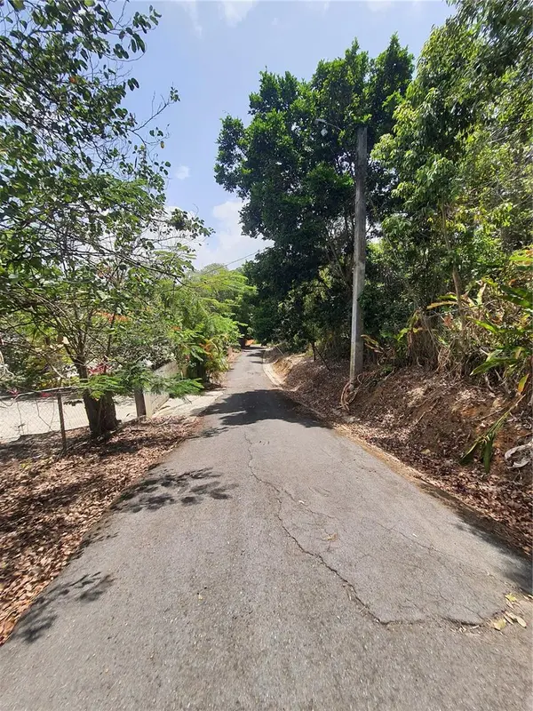PR-853 INTERIOR CACAO WARD #LOT 7, Carolina, PR 00987